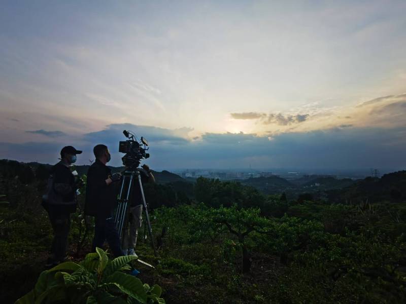 聚焦东阿县产品宣传视频拍摄公司，用专业实力铸就品牌传播传奇