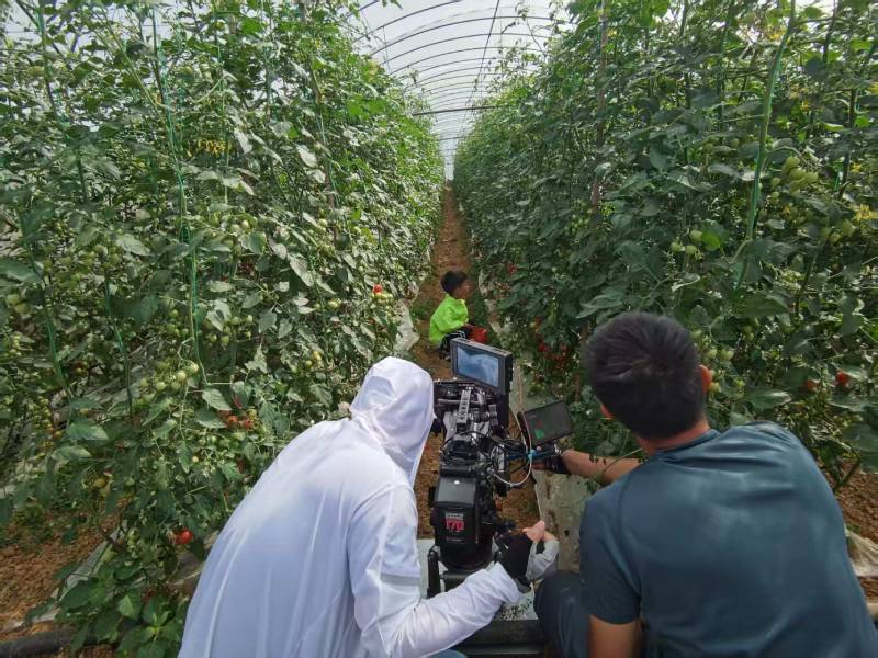 东阿县产品宣传视频拍摄公司进阶指南，助力品牌抢占传播高地